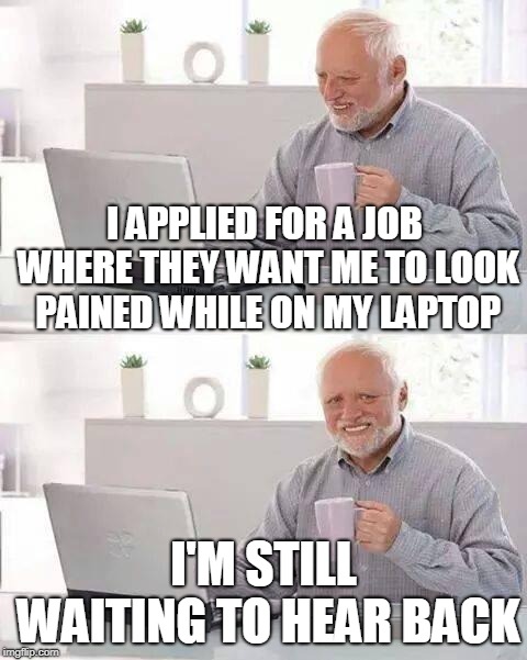Hide the Pain Harold Meme | I APPLIED FOR A JOB WHERE THEY WANT ME TO LOOK PAINED WHILE ON MY LAPTOP I'M STILL WAITING TO HEAR BACK | image tagged in memes,hide the pain harold | made w/ Imgflip meme maker