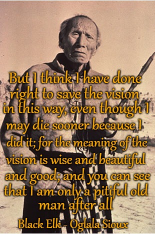 Black Elk Wisdom | But I think I have done; right to save the vision; in this way, even though I; may die sooner because I; did it; for the meaning of the; vision is wise and beautiful; and good; and you can see; that I am only a pitiful old; man after all; Black Elk - Oglala Sioux | image tagged in native american,native americans,indians,indian chief,indian chiefs,tribe | made w/ Imgflip meme maker