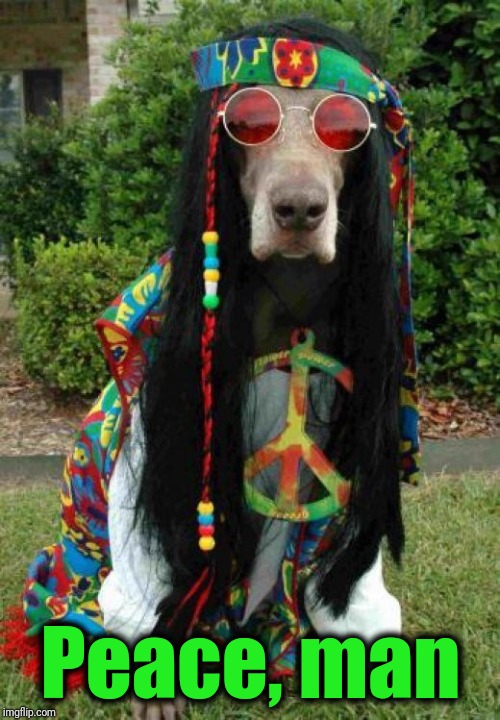 Hippie dog  | Peace, man | image tagged in hippie dog | made w/ Imgflip meme maker