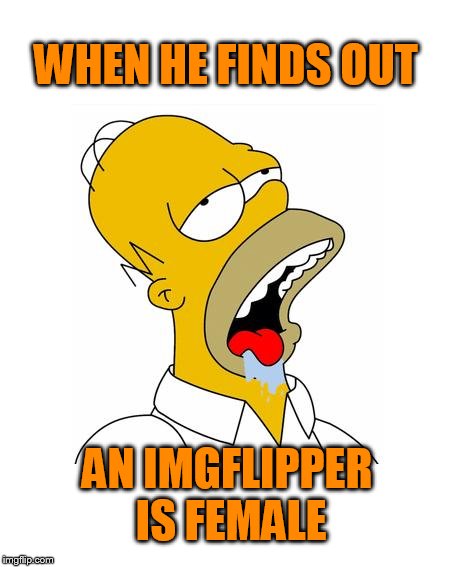 Homer Simpson Drooling |  WHEN HE FINDS OUT; AN IMGFLIPPER IS FEMALE | image tagged in homer simpson drooling | made w/ Imgflip meme maker
