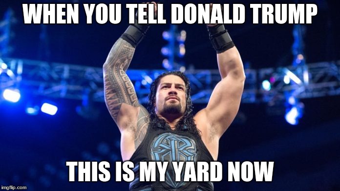 Roman Reings | WHEN YOU TELL DONALD TRUMP; THIS IS MY YARD NOW | image tagged in roman reings | made w/ Imgflip meme maker