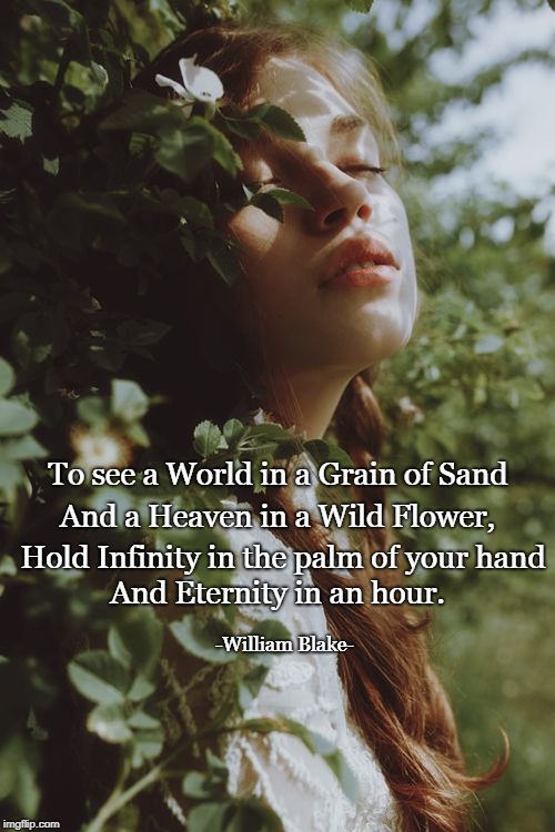 To see a World in a Grain of Sand; And a Heaven in a Wild Flower, Hold Infinity in the palm of your hand; And Eternity in an hour. -William Blake- | image tagged in william blake heaven infinity eternity beauty connection | made w/ Imgflip meme maker