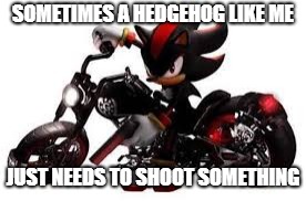Shadow the Hedgehog | SOMETIMES A HEDGEHOG LIKE ME; JUST NEEDS TO SHOOT SOMETHING | image tagged in shadow the hedgehog | made w/ Imgflip meme maker