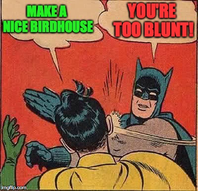 Batman Slapping Robin Meme | MAKE A NICE BIRDHOUSE YOU'RE TOO BLUNT! | image tagged in memes,batman slapping robin | made w/ Imgflip meme maker