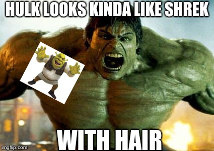 hulk | HULK LOOKS KINDA LIKE SHREK; WITH HAIR | image tagged in hulk | made w/ Imgflip meme maker