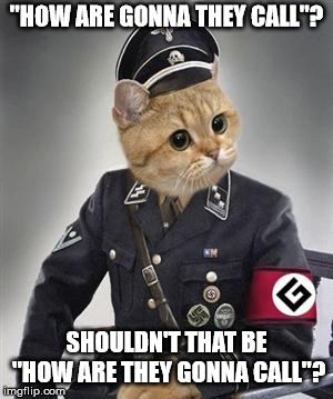 Grammar Nazi Cat | "HOW ARE GONNA THEY CALL"? SHOULDN'T THAT BE "HOW ARE THEY GONNA CALL"? | image tagged in grammar nazi cat | made w/ Imgflip meme maker