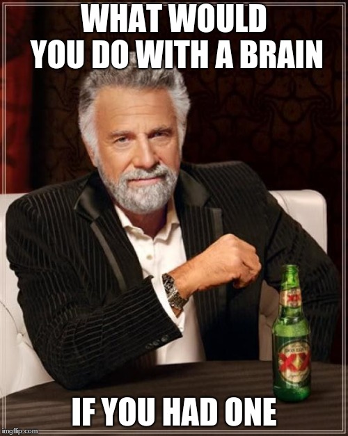 The Most Interesting Man In The World | WHAT WOULD YOU DO WITH A BRAIN; IF YOU HAD ONE | image tagged in memes,the most interesting man in the world | made w/ Imgflip meme maker