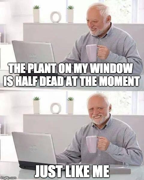 Hide the Pain Harold | THE PLANT ON MY WINDOW IS HALF DEAD AT THE MOMENT; JUST LIKE ME | image tagged in memes,hide the pain harold | made w/ Imgflip meme maker