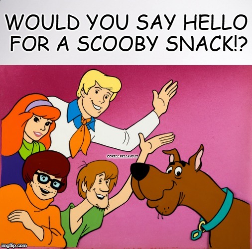 Image Tagged In Scooby Doo Imgflip 