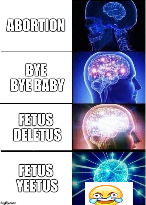 Expanding Brain | ABORTION; BYE BYE BABY; FETUS DELETUS; FETUS YEETUS | image tagged in memes,expanding brain | made w/ Imgflip meme maker