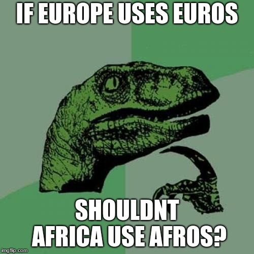 Philosoraptor | IF EUROPE USES EUROS; SHOULDNT AFRICA USE AFROS? | image tagged in memes,philosoraptor | made w/ Imgflip meme maker