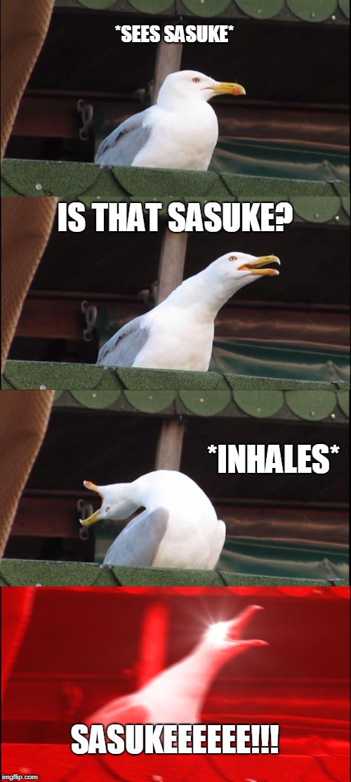 Inhaling Seagull | *SEES SASUKE*; IS THAT SASUKE? *INHALES*; SASUKEEEEEE!!! | image tagged in memes,inhaling seagull | made w/ Imgflip meme maker