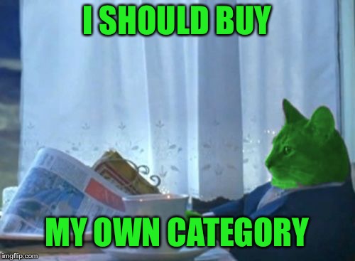I Should Buy a Boat RayCat | I SHOULD BUY MY OWN CATEGORY | image tagged in i should buy a boat raycat | made w/ Imgflip meme maker