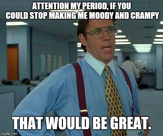 That Would Be Great | ATTENTION MY PERIOD, IF YOU COULD STOP MAKING ME MOODY AND CRAMPY; THAT WOULD BE GREAT. | image tagged in memes,that would be great | made w/ Imgflip meme maker