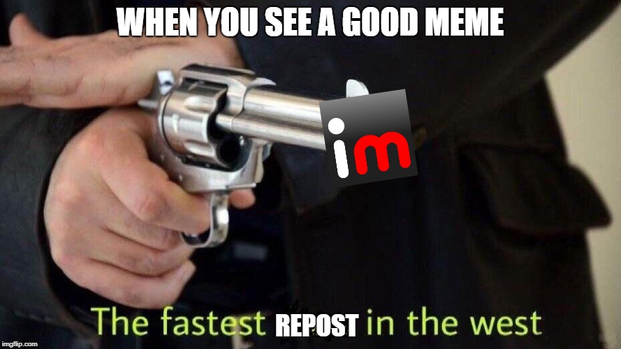 WHEN YOU SEE A GOOD MEME; REPOST | image tagged in imgflip,memes,fast,repost | made w/ Imgflip meme maker