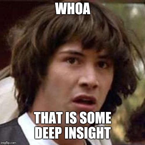 whoa | WHOA THAT IS SOME DEEP INSIGHT | image tagged in whoa | made w/ Imgflip meme maker
