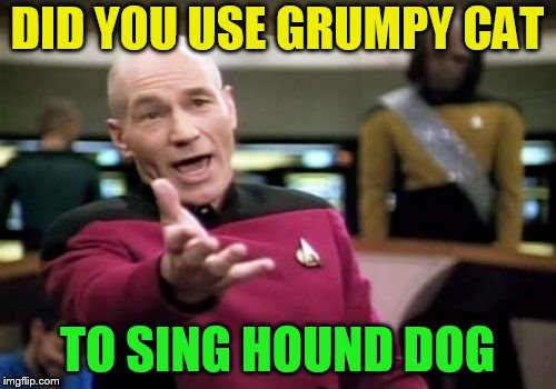 Picard Wtf Meme | DID YOU USE GRUMPY CAT TO SING HOUND DOG | image tagged in memes,picard wtf | made w/ Imgflip meme maker