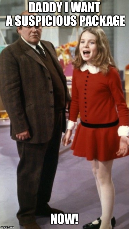 Everyone wants one | DADDY I WANT A SUSPICIOUS PACKAGE; NOW! | image tagged in political | made w/ Imgflip meme maker