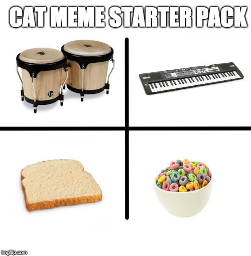 Blank Starter Pack | CAT MEME STARTER PACK | image tagged in memes,blank starter pack | made w/ Imgflip meme maker