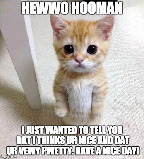 Cute Cat Meme | HEWWO HOOMAN; I JUST WANTED TO TELL YOU DAT I THINKS UR NICE AND DAT UR VEWY PWETTY. HAVE A NICE DAY! | image tagged in memes,cute cat | made w/ Imgflip meme maker