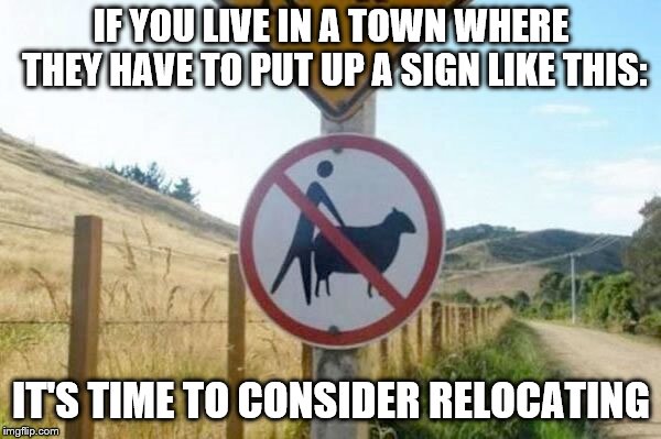 Please Don't Pork the Lamb | IF YOU LIVE IN A TOWN WHERE THEY HAVE TO PUT UP A SIGN LIKE THIS:; IT'S TIME TO CONSIDER RELOCATING | image tagged in funny signs,sex with livestock it's never ok,strange things people do who aren't like us but,hey that's just their culture | made w/ Imgflip meme maker