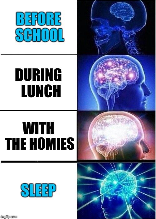Expanding Brain Meme | BEFORE SCHOOL; DURING  LUNCH; WITH THE HOMIES; SLEEP | image tagged in memes,expanding brain | made w/ Imgflip meme maker
