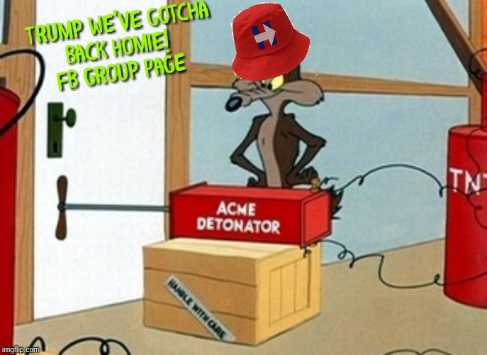 Wile E. Coyote is the Bomber | image tagged in acme,package,hillary clinton,fake bomb,liberal logic,barack obama | made w/ Imgflip meme maker