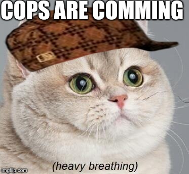 Heavy Breathing Cat | COPS ARE COMMING | image tagged in memes,heavy breathing cat,scumbag | made w/ Imgflip meme maker
