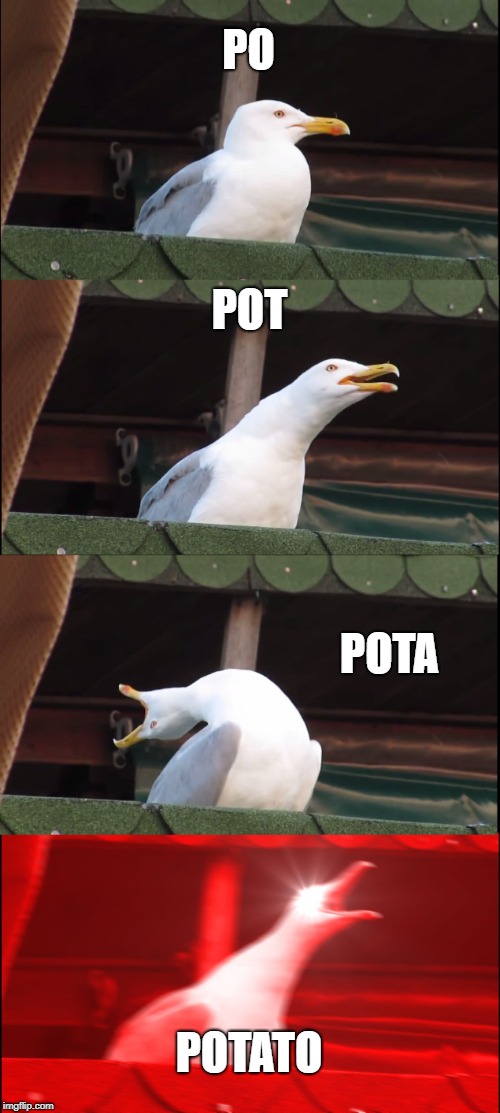 POTATO!!!!! | PO; POT; POTA; POTATO | image tagged in memes,inhaling seagull | made w/ Imgflip meme maker
