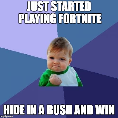 Success Kid Meme | JUST STARTED PLAYING FORTNITE; HIDE IN A BUSH AND WIN | image tagged in memes,success kid | made w/ Imgflip meme maker