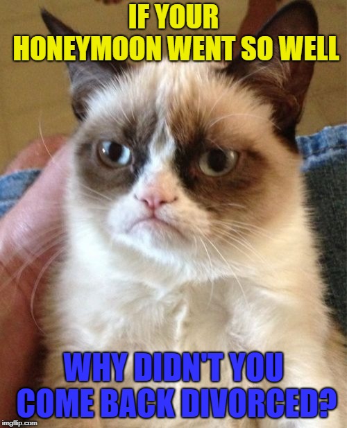 First comes love, then comes marriage, and then comes divorce in the divorce carriage... | IF YOUR HONEYMOON WENT SO WELL; WHY DIDN'T YOU COME BACK DIVORCED? | image tagged in memes,grumpy cat,funny | made w/ Imgflip meme maker