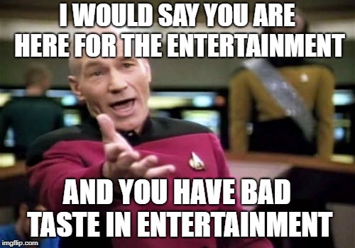 Picard Wtf Meme | I WOULD SAY YOU ARE HERE FOR THE ENTERTAINMENT AND YOU HAVE BAD TASTE IN ENTERTAINMENT | image tagged in memes,picard wtf | made w/ Imgflip meme maker