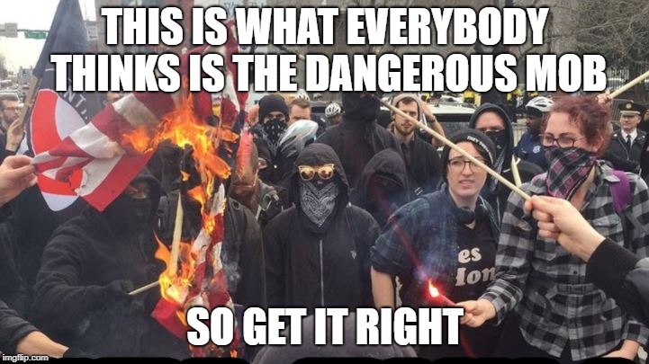 Antifa is but a peaceful organization | THIS IS WHAT EVERYBODY THINKS IS THE DANGEROUS MOB SO GET IT RIGHT | image tagged in antifa is but a peaceful organization | made w/ Imgflip meme maker