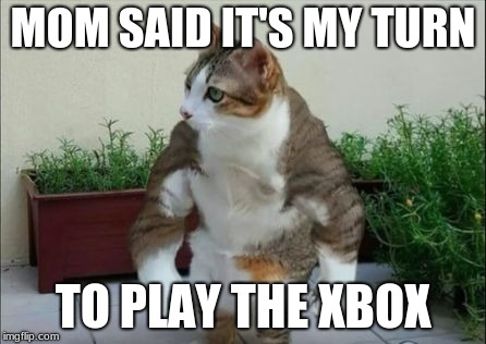 Muscle Cat | MOM SAID IT'S MY TURN; TO PLAY THE XBOX | image tagged in muscle cat | made w/ Imgflip meme maker