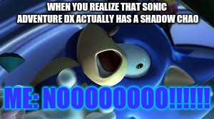 Chao garden madness | WHEN YOU REALIZE THAT SONIC ADVENTURE DX ACTUALLY HAS A SHADOW CHAO; ME: NOOOOOOOO!!!!!! | image tagged in sonic is trigerred | made w/ Imgflip meme maker