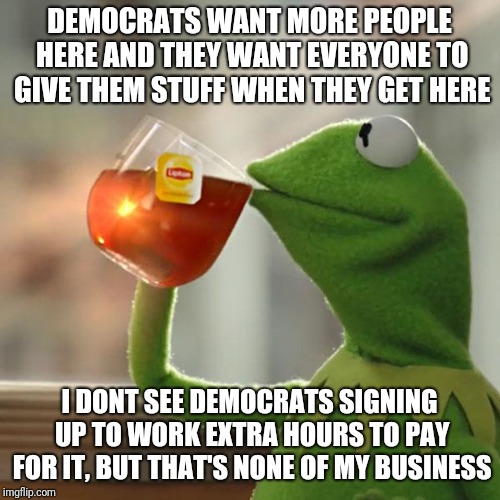 But That's None Of My Business | DEMOCRATS WANT MORE PEOPLE HERE AND THEY WANT EVERYONE TO GIVE THEM STUFF WHEN THEY GET HERE; I DONT SEE DEMOCRATS SIGNING UP TO WORK EXTRA HOURS TO PAY FOR IT, BUT THAT'S NONE OF MY BUSINESS | image tagged in memes,but thats none of my business,kermit the frog | made w/ Imgflip meme maker