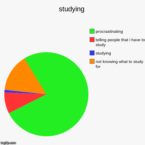 studying | not knowing what to study for, studying, telling people that i have to study, procrastinating | image tagged in funny,pie charts | made w/ Imgflip chart maker