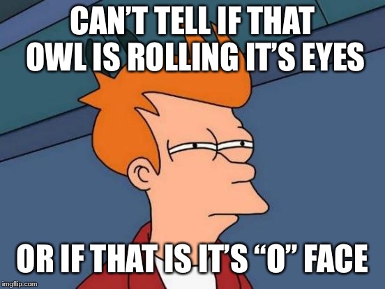 Futurama Fry Meme | CAN’T TELL IF THAT OWL IS ROLLING IT’S EYES OR IF THAT IS IT’S “O” FACE | image tagged in memes,futurama fry | made w/ Imgflip meme maker