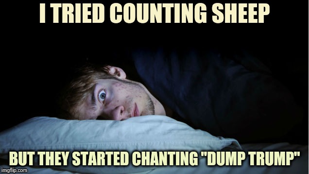 My insomnia is hopeless | I TRIED COUNTING SHEEP; BUT THEY STARTED CHANTING "DUMP TRUMP" | image tagged in night terror,sheep,sleepy,the great awakening | made w/ Imgflip meme maker