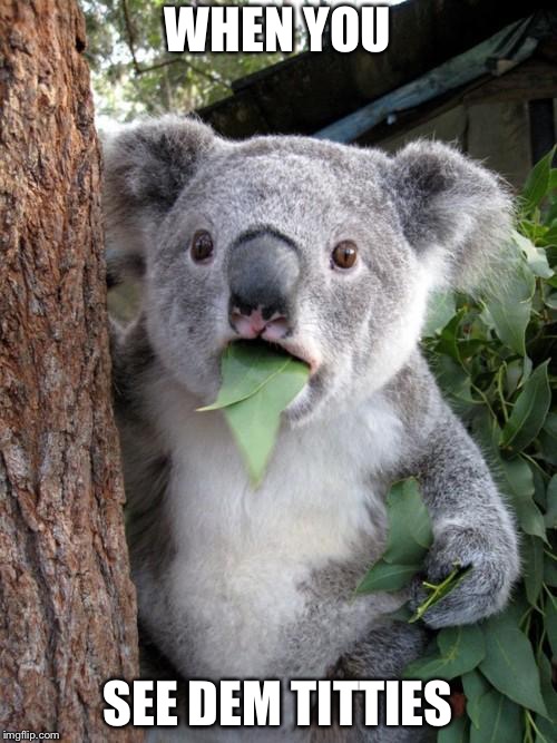 Surprised Koala Meme | WHEN YOU; SEE DEM TITTIES | image tagged in memes,surprised koala | made w/ Imgflip meme maker