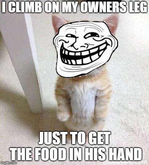 Cute Cat | I CLIMB ON MY OWNERS LEG; JUST TO GET THE FOOD IN HIS HAND | image tagged in memes,cute cat | made w/ Imgflip meme maker