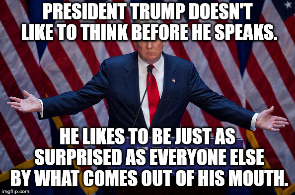 Donald Trump | PRESIDENT TRUMP DOESN'T LIKE TO THINK BEFORE HE SPEAKS. HE LIKES TO BE JUST AS SURPRISED AS EVERYONE ELSE BY WHAT COMES OUT OF HIS MOUTH. | image tagged in donald trump | made w/ Imgflip meme maker