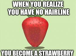 WHEN YOU REALIZE YOU HAVE NO HAIRLINE; YOU BECOME A STRAWBERRY | image tagged in strawberry | made w/ Imgflip meme maker