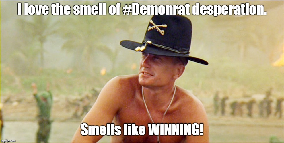 And WINNING smells so good! | I love the smell of #Demonrat desperation. Smells like WINNING! | image tagged in democratic socialism,midterms,desperate | made w/ Imgflip meme maker