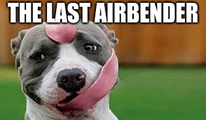 THE LAST AIRBENDER | image tagged in avatar the last dogbender | made w/ Imgflip meme maker