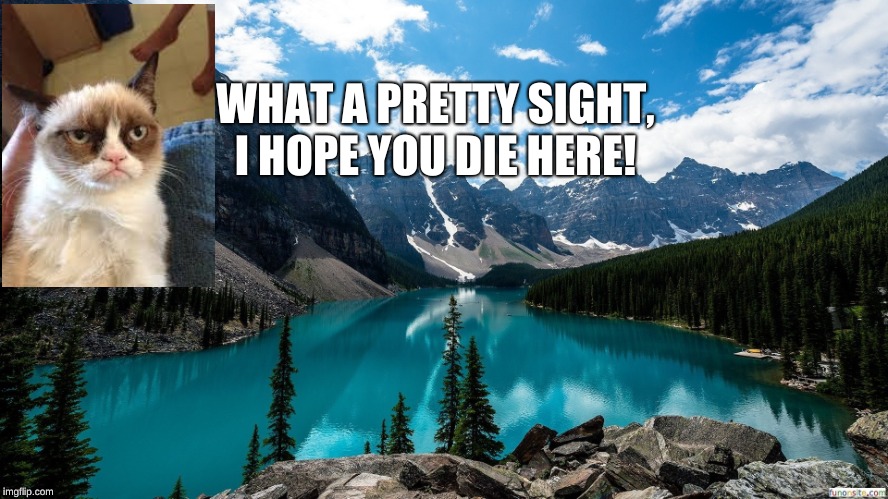 Grumpy cat | WHAT A PRETTY SIGHT, I HOPE YOU DIE HERE! | image tagged in cat | made w/ Imgflip meme maker