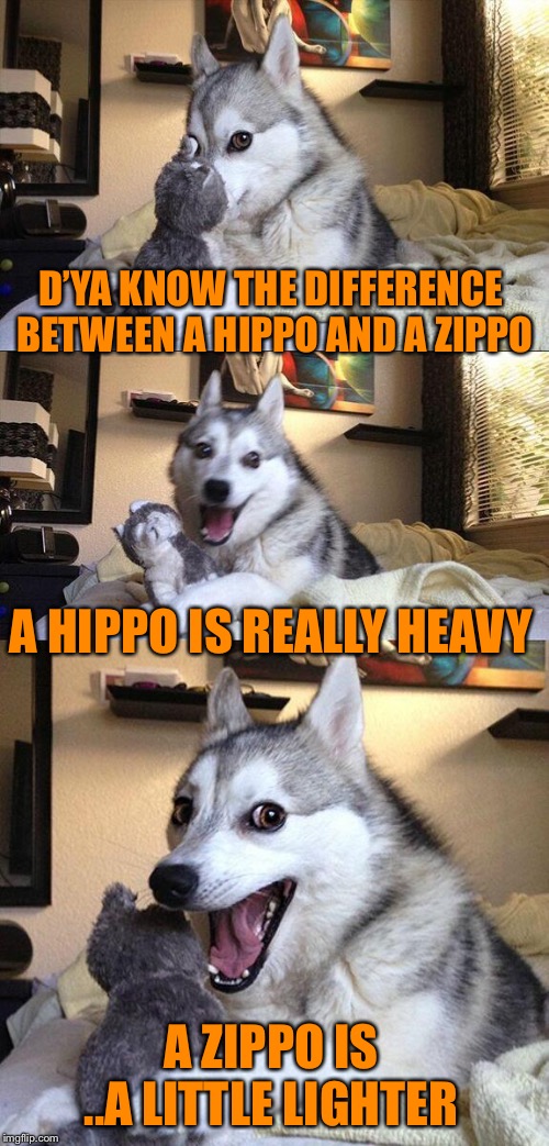 Bad Pun Dog | D’YA KNOW THE DIFFERENCE BETWEEN A HIPPO AND A ZIPPO; A HIPPO IS REALLY HEAVY; A ZIPPO IS ..A LITTLE LIGHTER | image tagged in memes,bad pun dog | made w/ Imgflip meme maker