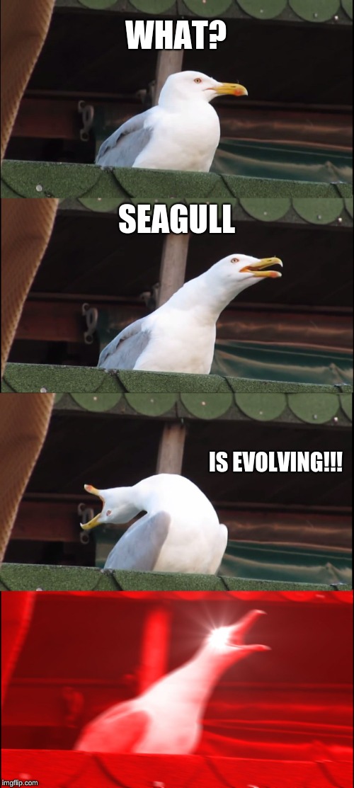 Inhaling Seagull Meme | WHAT? SEAGULL; IS EVOLVING!!! | image tagged in memes,inhaling seagull | made w/ Imgflip meme maker