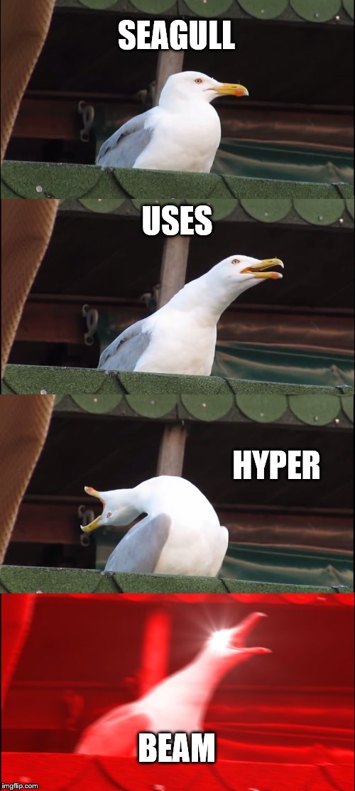 Inhaling Seagull Meme | SEAGULL USES HYPER BEAM | image tagged in memes,inhaling seagull | made w/ Imgflip meme maker