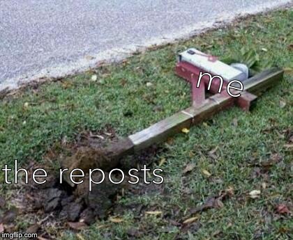 please repost | me the reposts | image tagged in please repost | made w/ Imgflip meme maker